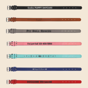Engraved Leatherette Pet Collar