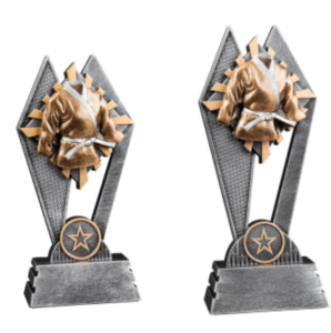 Engraved Martial Arts Awards