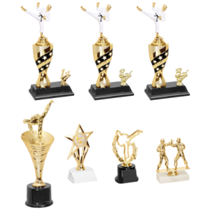 Engraved Martial Arts Trophies