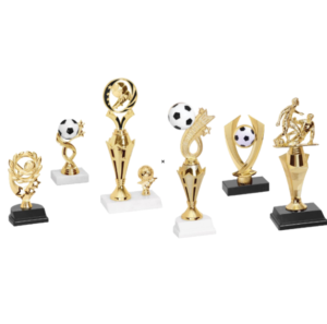 Engraved Soccer Trophies