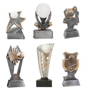 Engraved Volleyball Awards